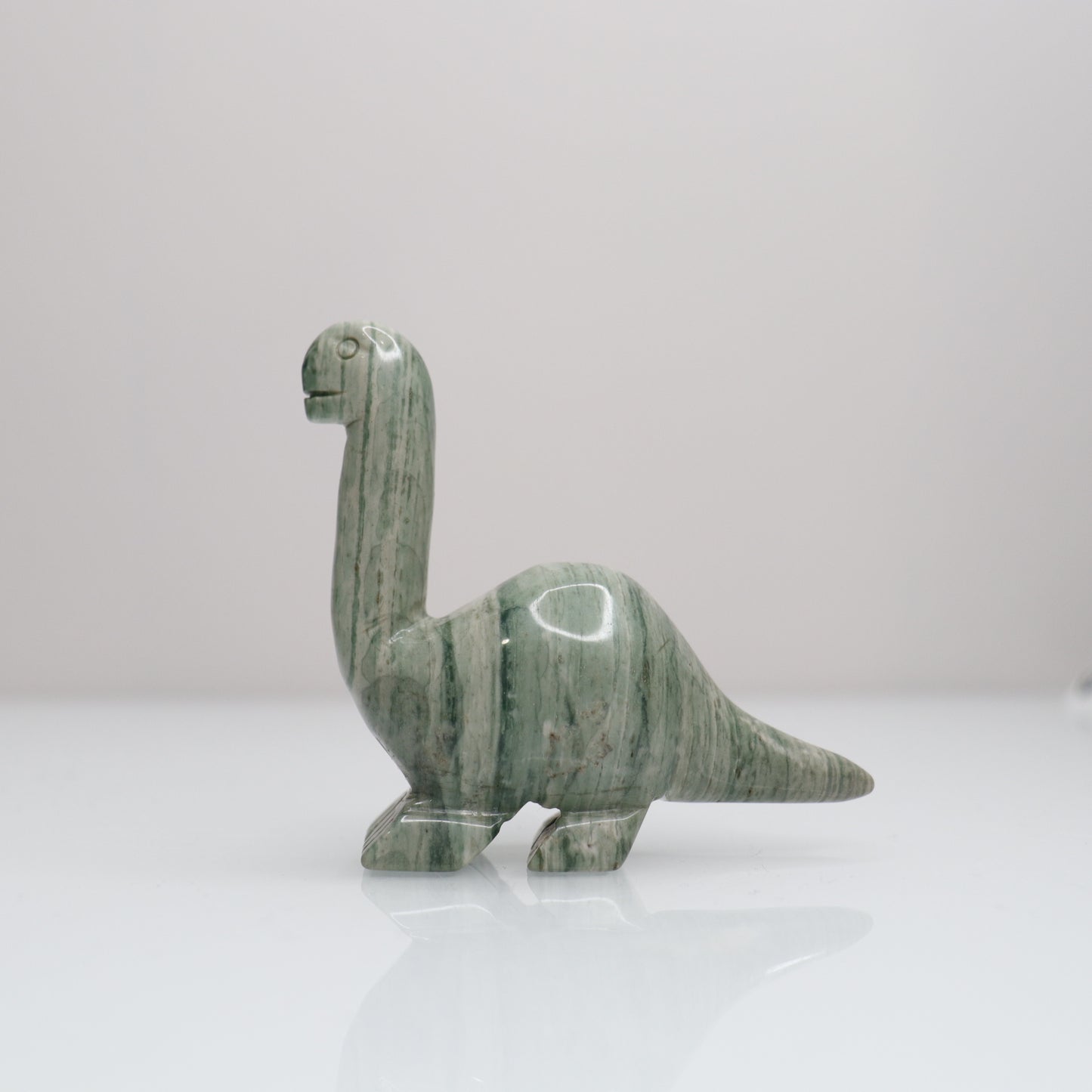 Polychrome Dinosaur | 4