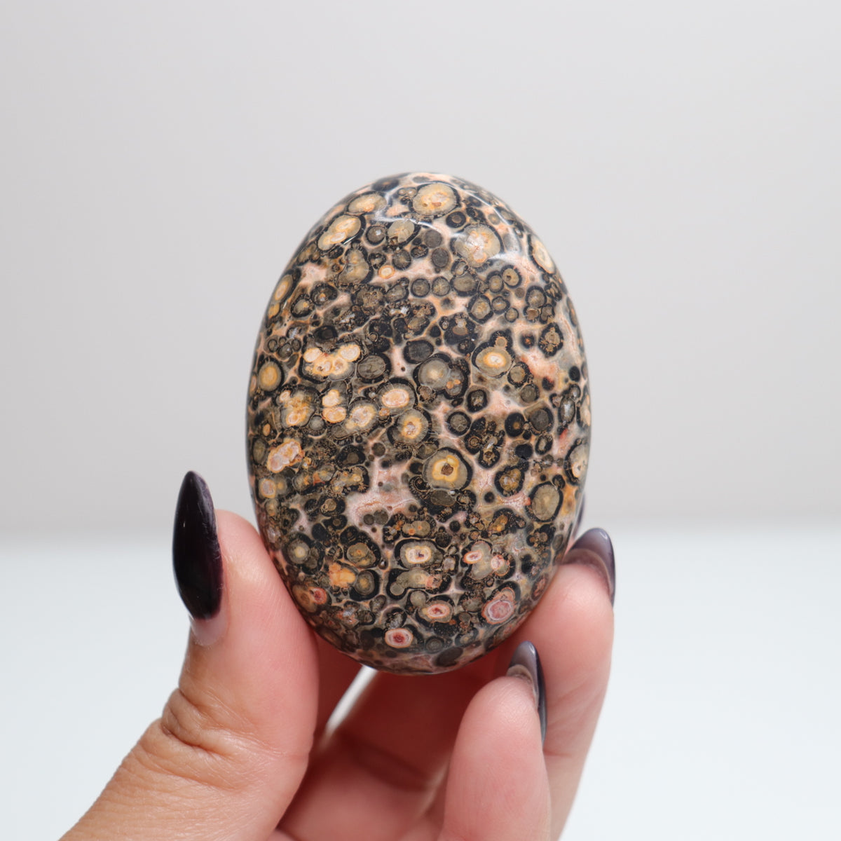 Leopard Skin Jasper Palm Stone | 22
