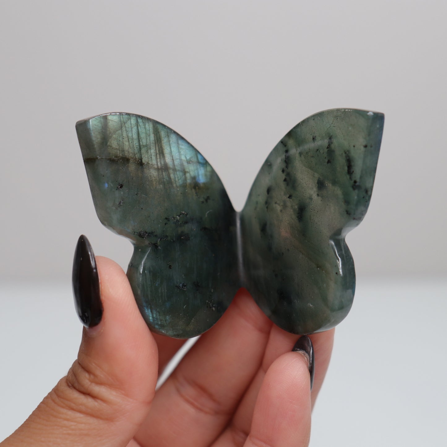 Labradorite Butterfly 8