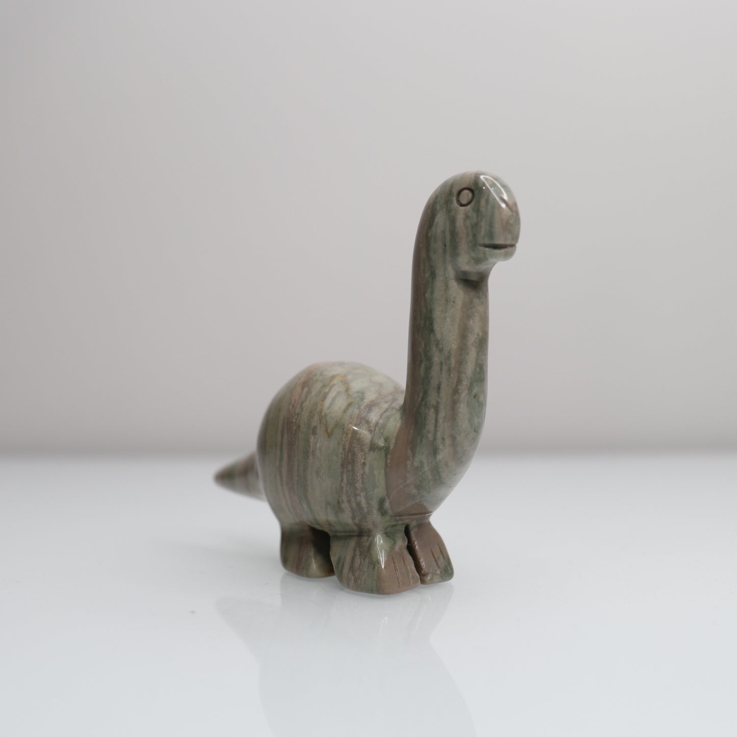 Polychrome Jasper Dinosaur C
