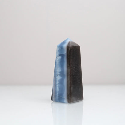 Blue Opal Tower 152