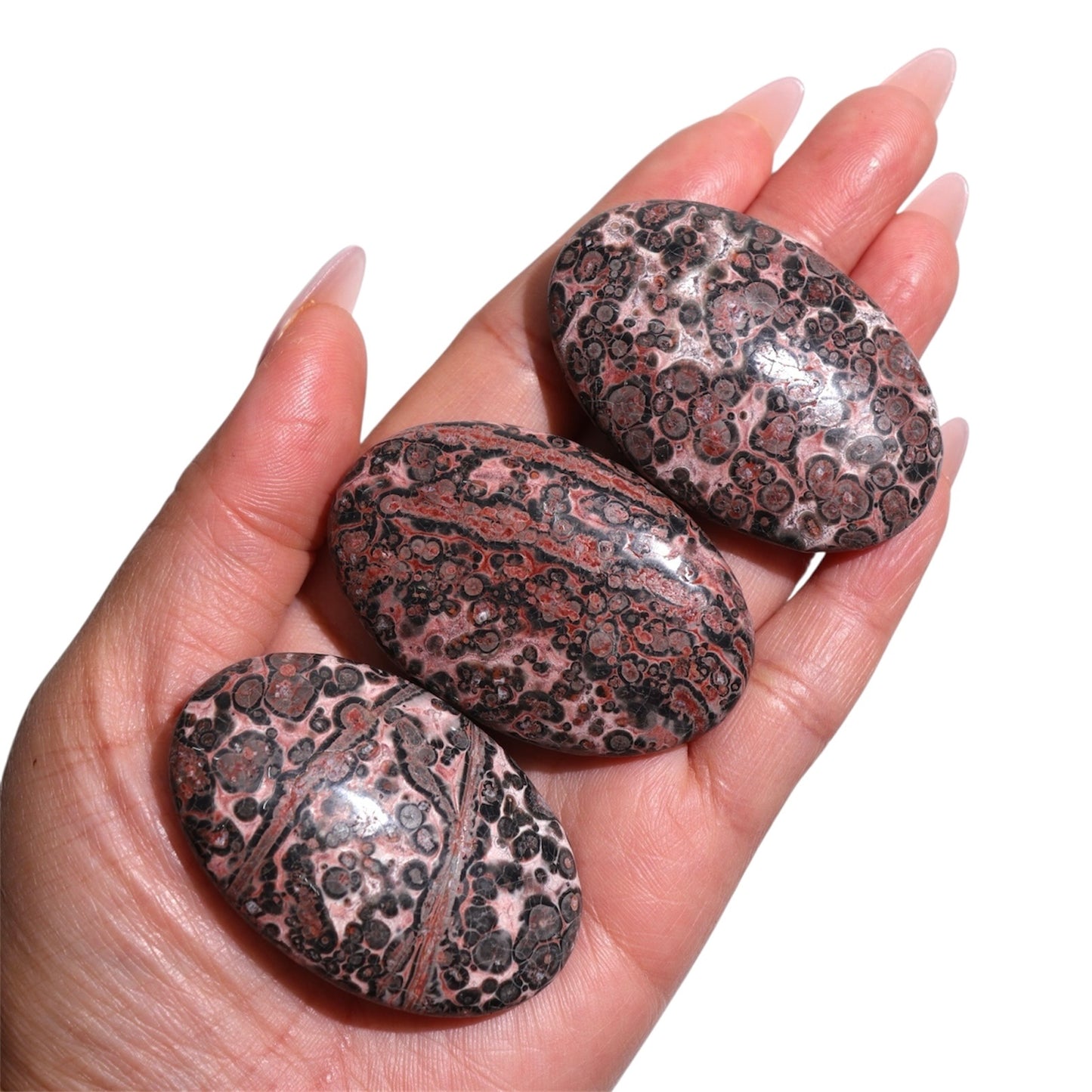 Leopardskin Jasper Palm Stones | Red