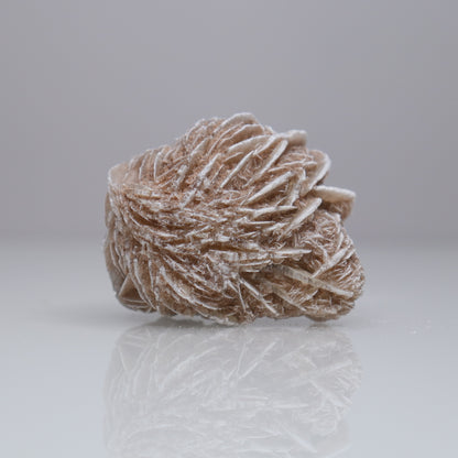 Desert Rose Cluster | 3