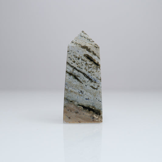 Ocean Jasper Tower | 2