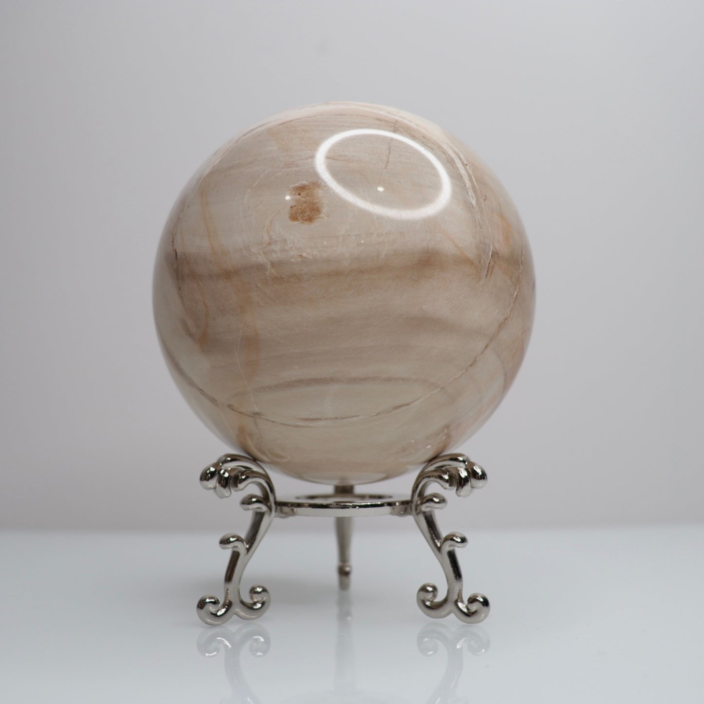 Petrified Wood Sphere | Large