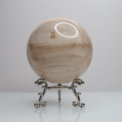 Petrified Wood Sphere | Large