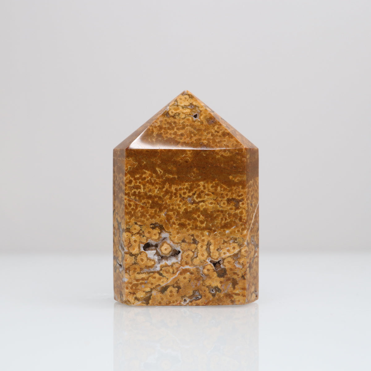 Ocean Jasper Tower | 113