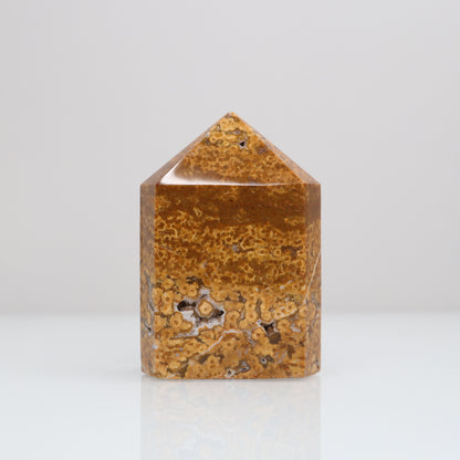 Ocean Jasper Tower | 113