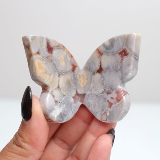 Cobra Jasper Butterfly 6