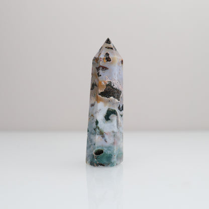 Ocean Jasper Tower | 80