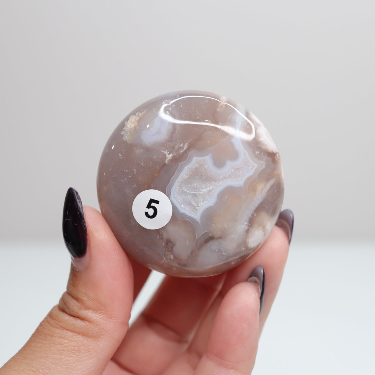 Flower Agate Round Palm | 5