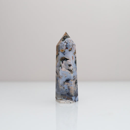 Ocean Jasper Tower | 81