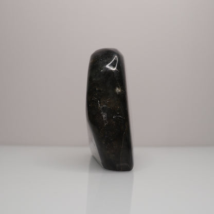 Rainbow Labradorite Freeform | 10 *Large*
