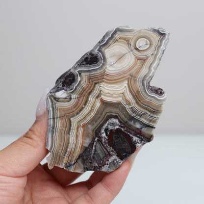 Laguna Lace Agate | J