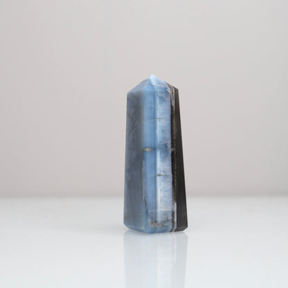 Blue Opal Tower 154