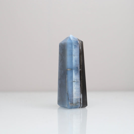 Blue Opal Tower 154