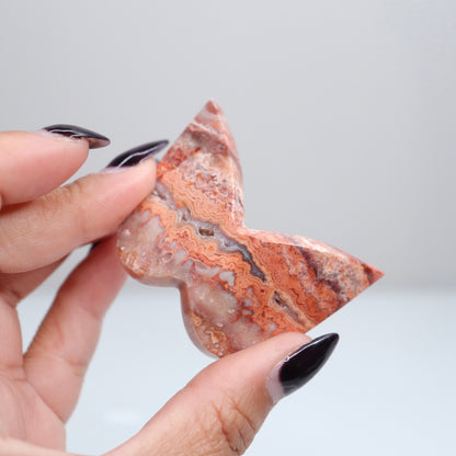 Crazy Lace Agate Butterfly | 23