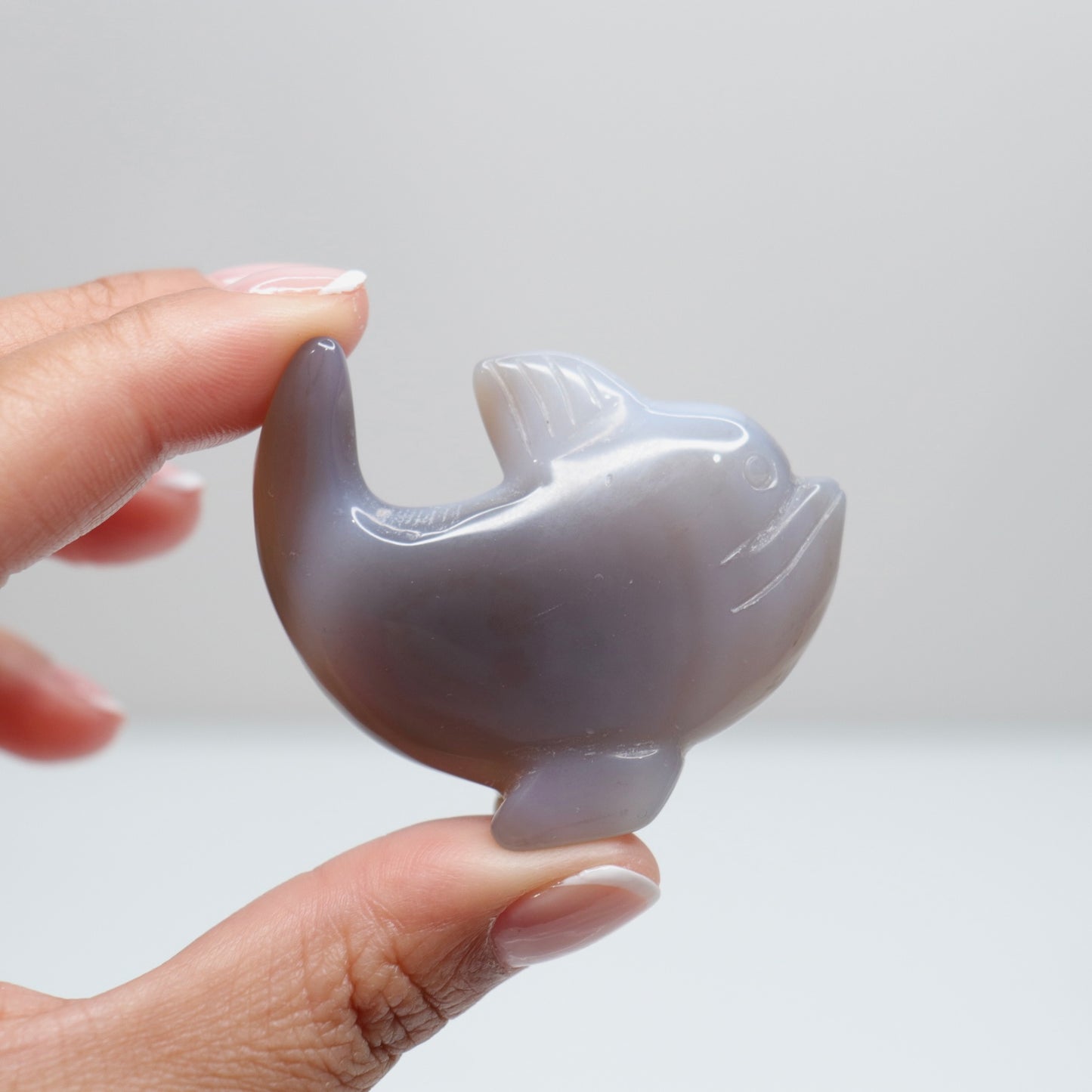 Agate Dolphin | 4