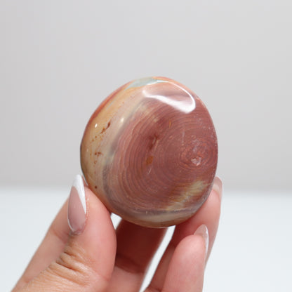 Polychrome Jasper Palm Stone | 8