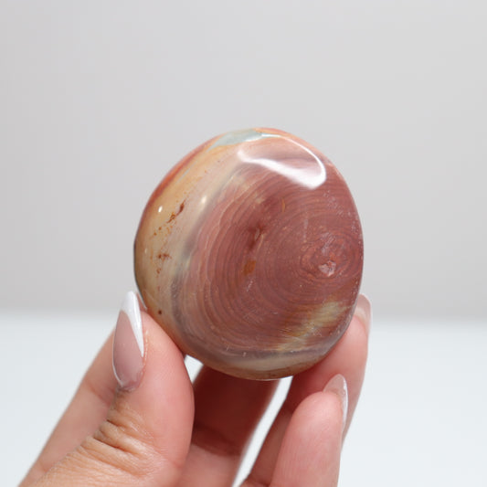 Polychrome Jasper Palm Stone | 8