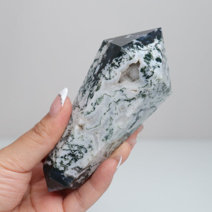 Tree Agate DT. | Large