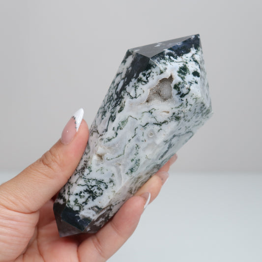 Tree Agate DT. | Large