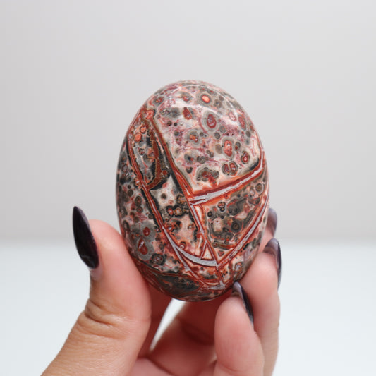 Leopard Skin Jasper Palm Stone | 31