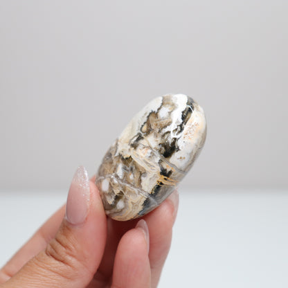 Sea Jasper Palm Stone | L