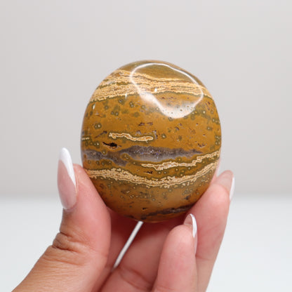 Ocean Jasper Palm Stone | D