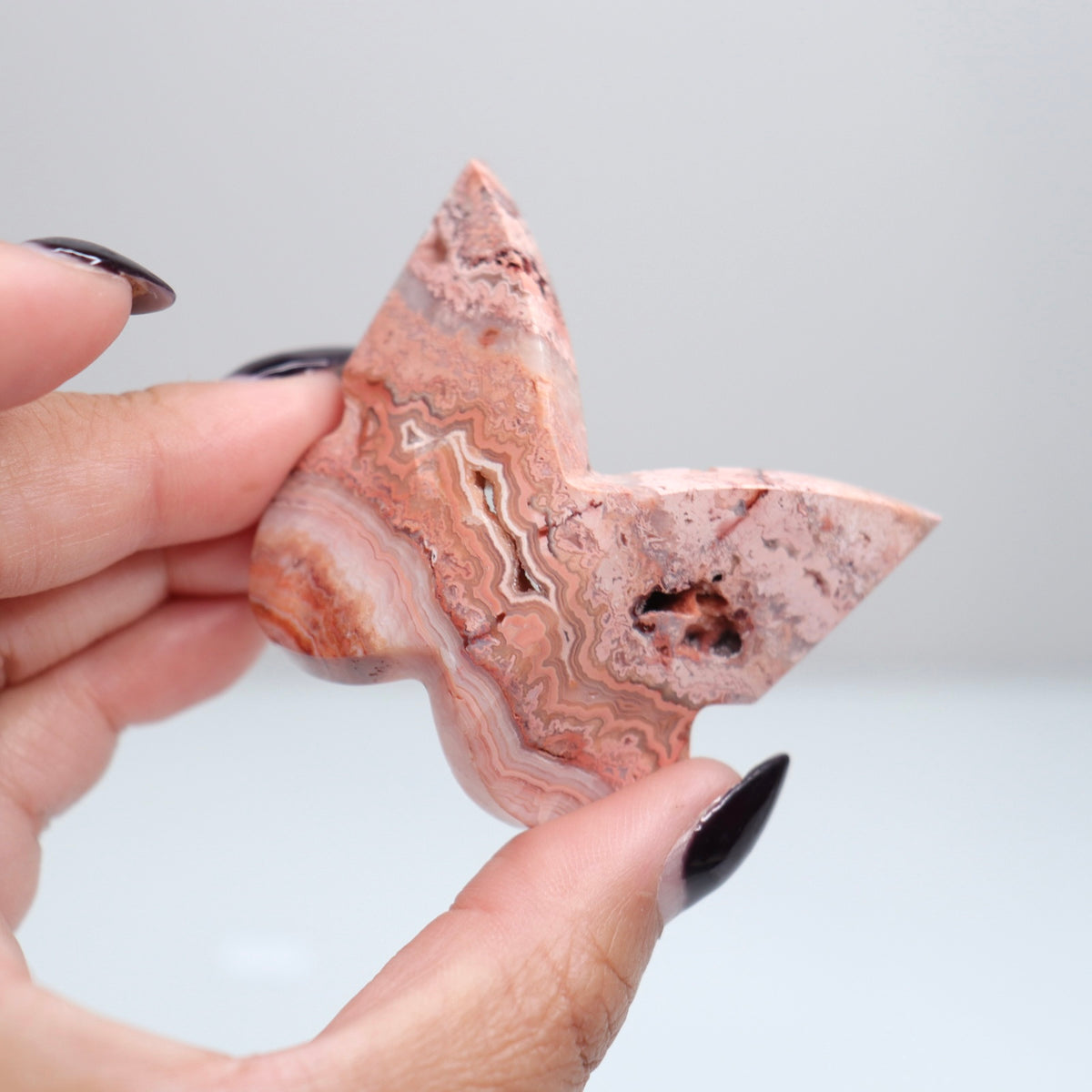 Crazy Lace Agate Butterfly | 16