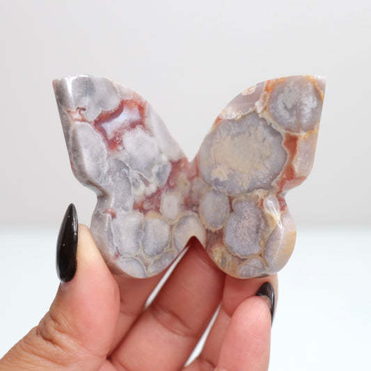 Cobra Jasper Butterfly 8
