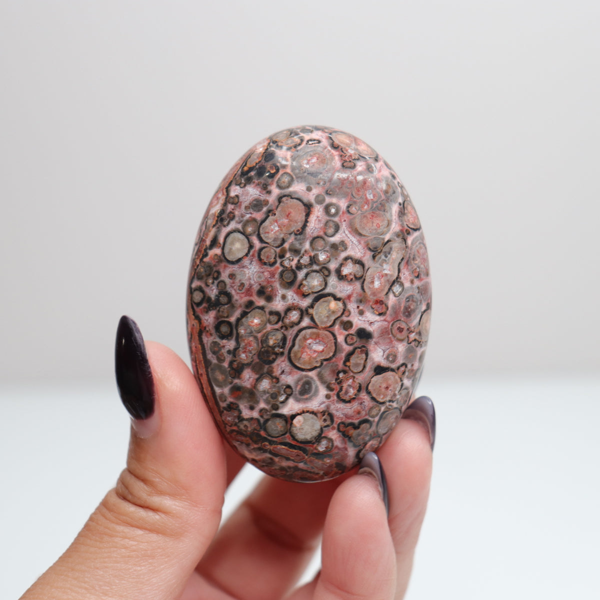 Leopard Skin Jasper Palm Stone | 29