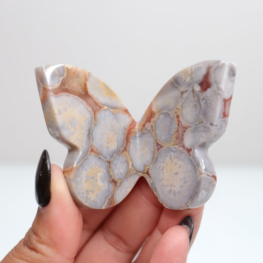 Cobra Jasper Butterfly 7