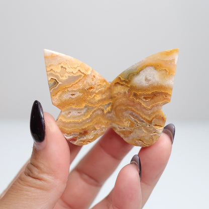 Crazy Lace Agate Butterfly | 7