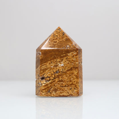 Ocean Jasper Tower | 112