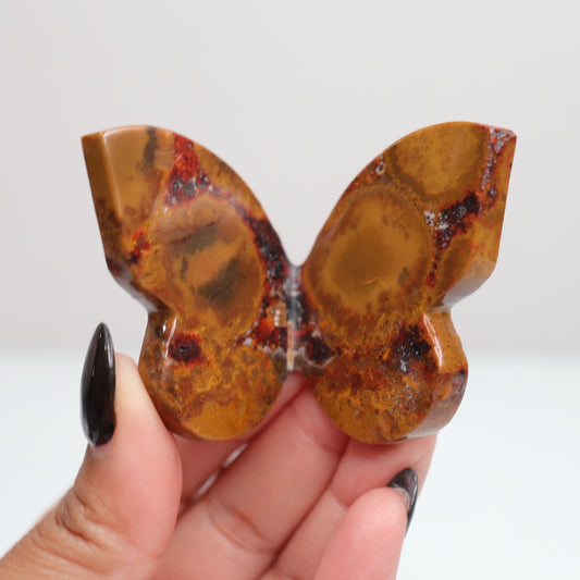Cobra Jasper Butterfly 2