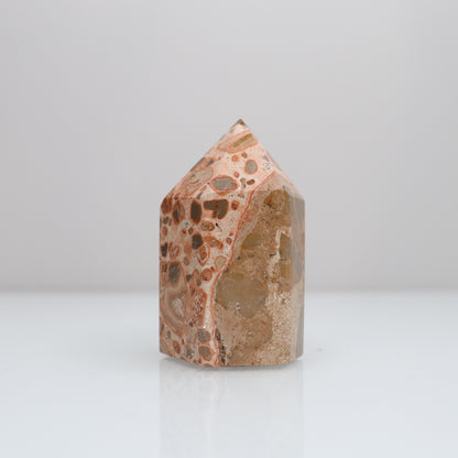 Leopardite Tower | 27