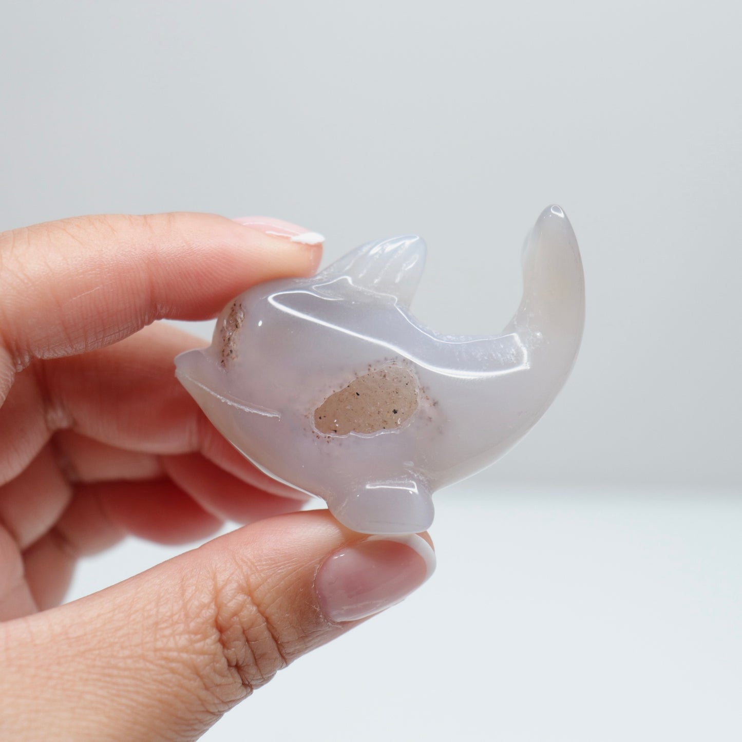 Agate Dolphin | 1