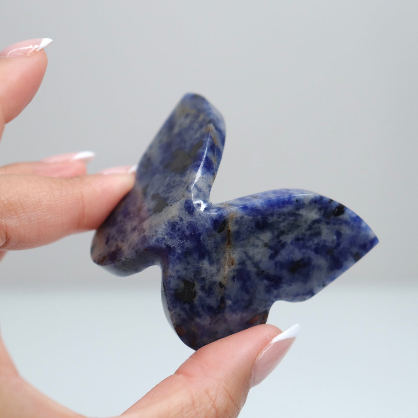 Sodalite Butterly B