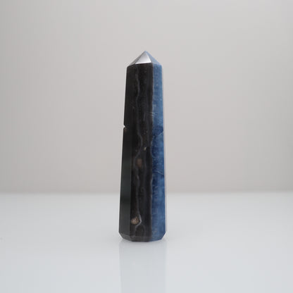 Blue Opal Tower | L