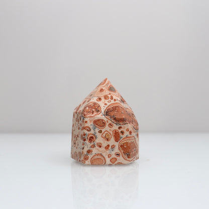 Leopardite Tower | 16