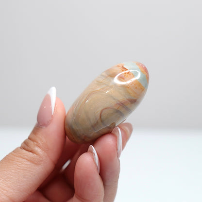 Polychrome Jasper Palm Stone | 1