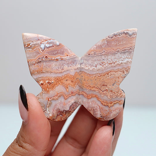 3D Pink Lace Agate Butterfly | F