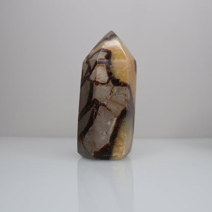 Septarian Tower | 3