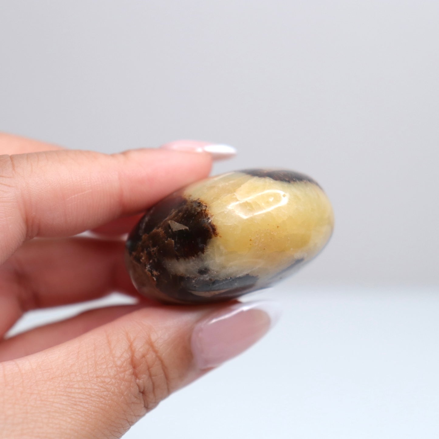 Septarian Palm Stone 77