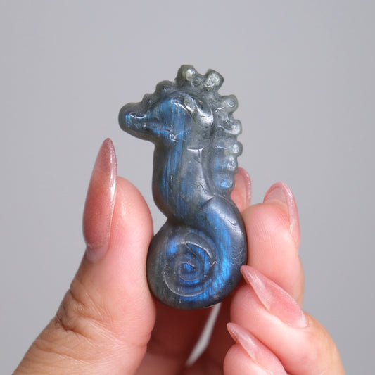 Labradorite Sea Horse | 4