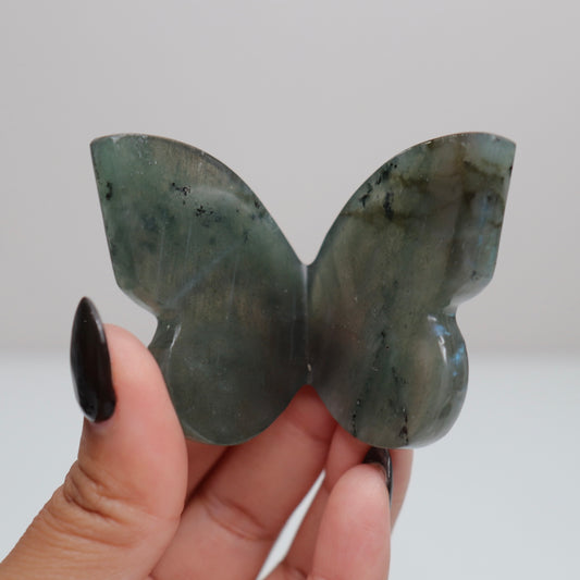 Labradorite Butterfly 10*