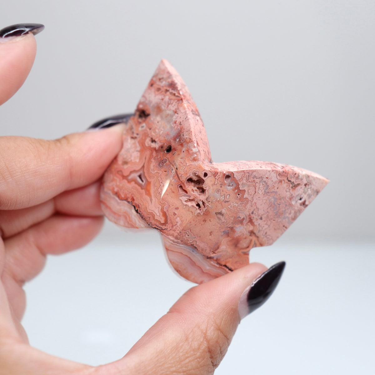 Crazy Lace Agate Butterfly | 18