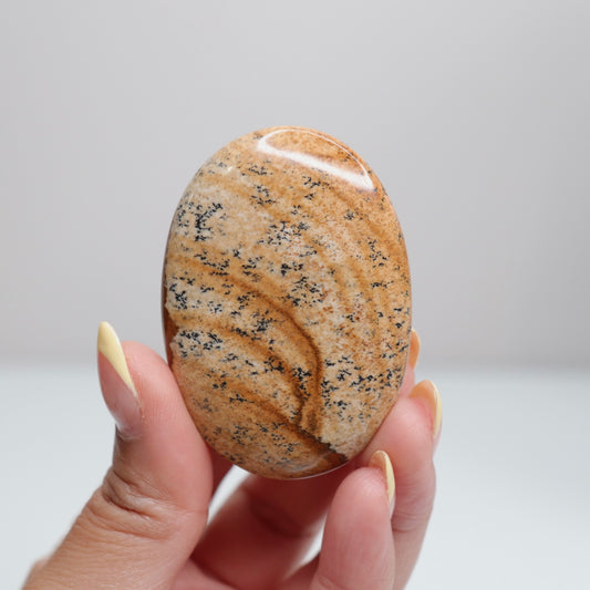 Picture Jasper Palm Stone 15