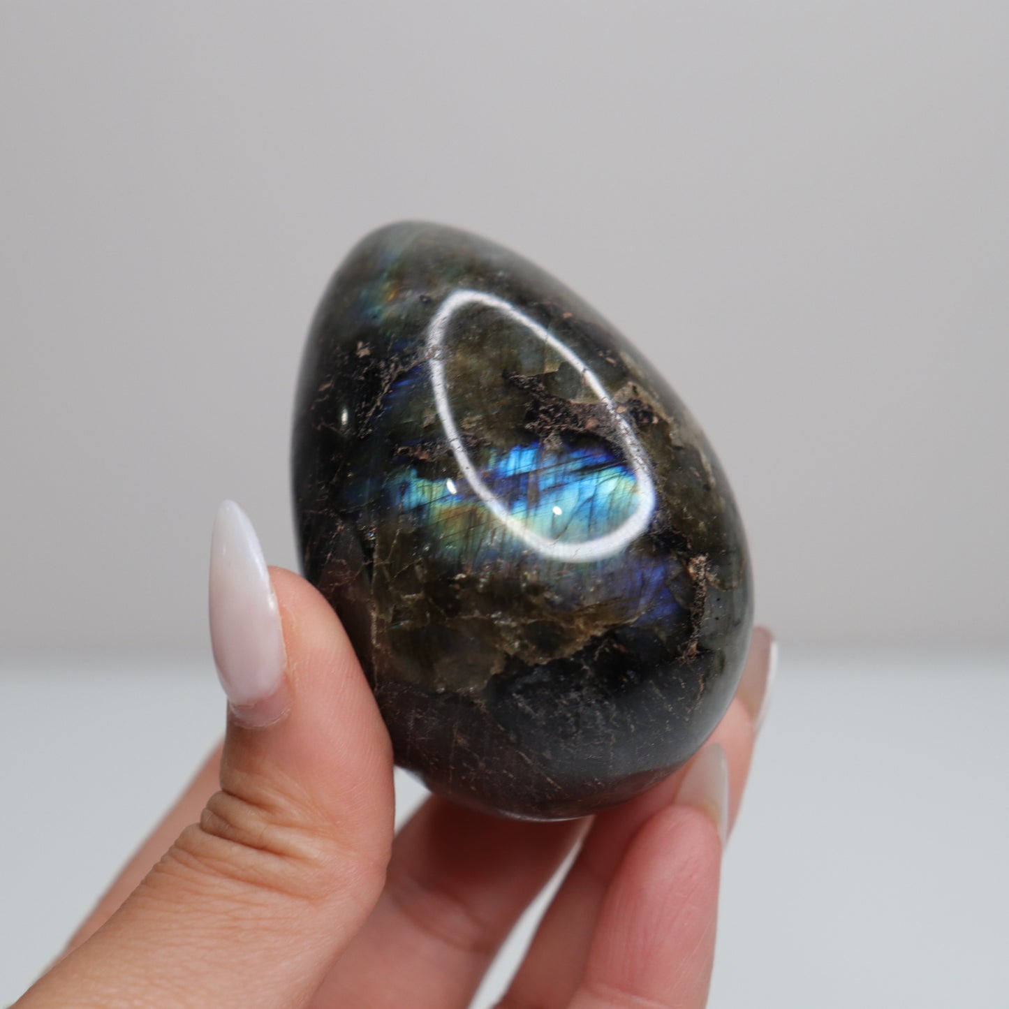 Labradorite Egg | 40
